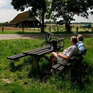 Alice Horsman Chronische pijn therapie